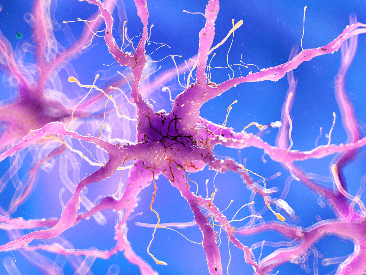 Damaged Nerves Regenerated With Polymer And Protein In Monkeys RegMedNet