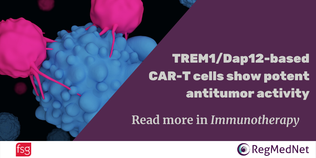 TREM1/Dap12-based CAR-T cells show potent antitumor activity Bing Chen¡ , Min Zhou¡ , Hai Zhang , Chen Wang , Xiaocui Hu , Bo Wang & Enxiu Wang Published Online:3 Jul 2019 https://doi.org/10.2217/imt-2019-0017
