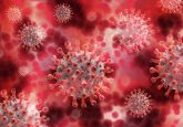 computer-generated image of a virus