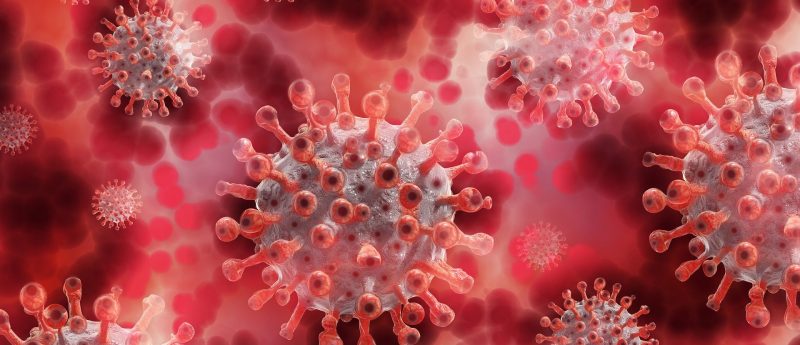 computer-generated image of a virus