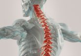 CG image of human skeleton with spine highlighted