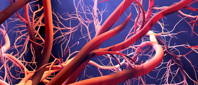 Novel BafA protein shown to stimulate angiogenesis
