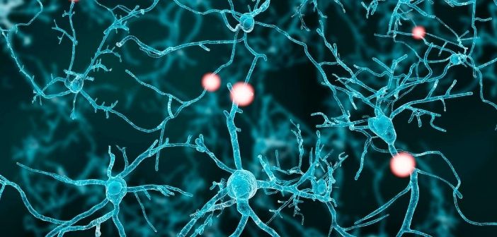 Electrical stimulation before nerve repair surgery could accelerate nerve regeneration