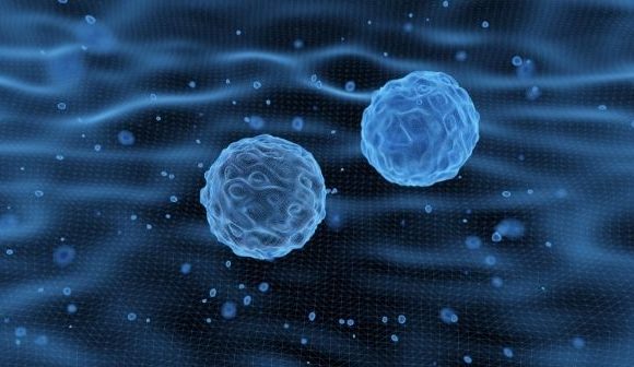 3D-printed device developed for directed stem cell differentiation