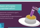 Top tips for cryopreserving human pluripotent stem cells