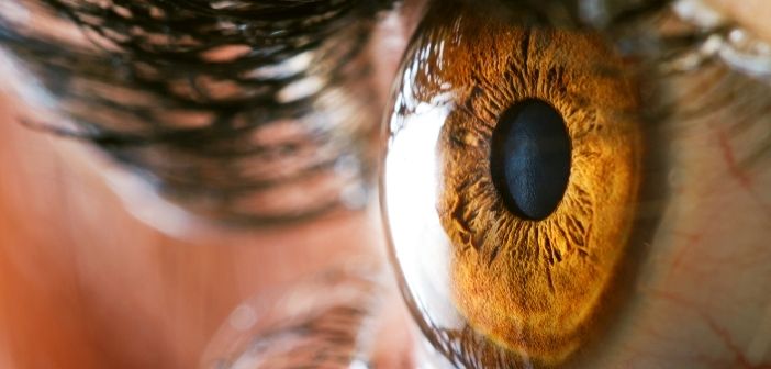 Stem cell therapy for corneal damage demonstrates success in clinical trials