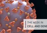 cell therapy