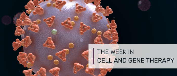 cell therapy