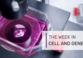 cell and gene therapy