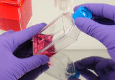 gene therapy