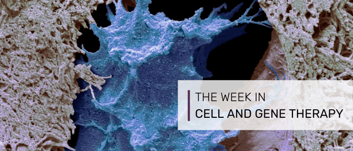 cell therapy