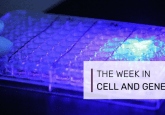 cell therapy
