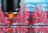 gene therapy