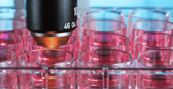 gene therapy