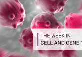cell culture