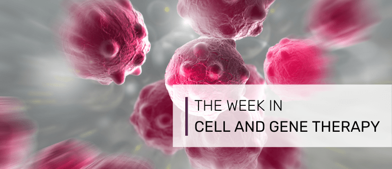 cell culture