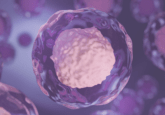 CD34+