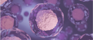 CD34+