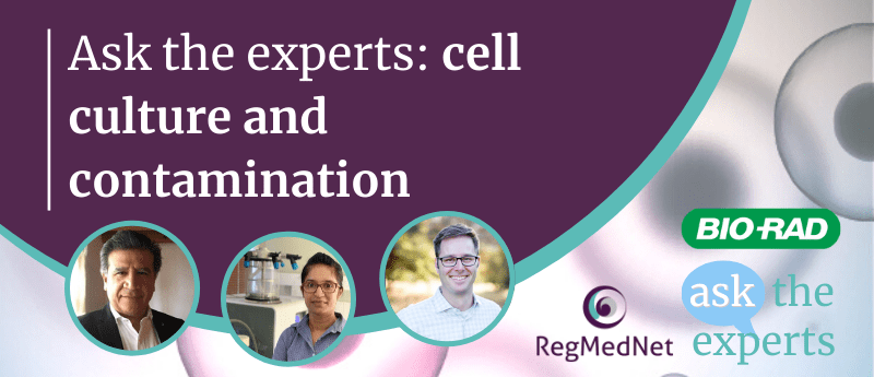 Ask the experts: cell culture and contamination
