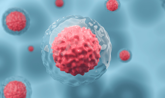 CAR-T cell