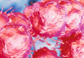 Embryonic stem cell