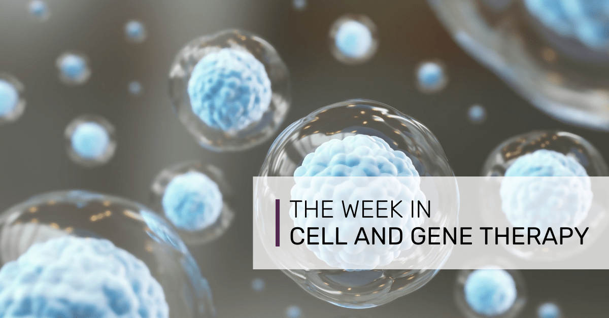 Cell therapy weekly Cellino Biotech secures US80 million to