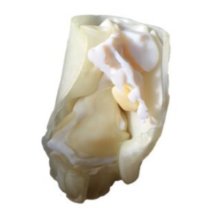 Fascia white Fascia white