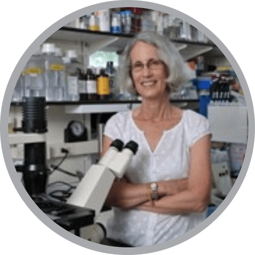 Developing a culture of quality: from early development of novel therapeutics to market