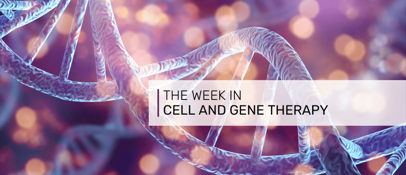 Cell therapy