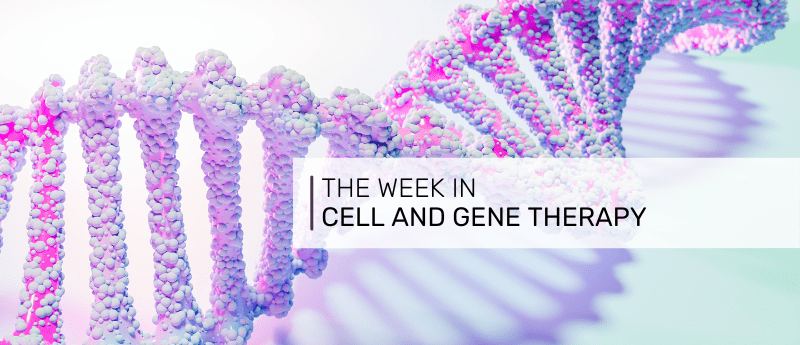 BlueRock and bit.bio join forces for iPSC-derived immune solutions