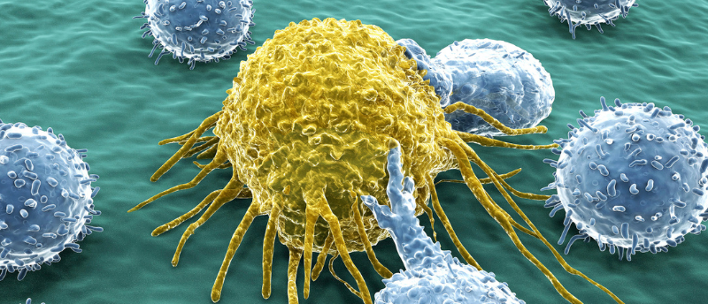 Breaking new ground on an allogeneic immunotherapy