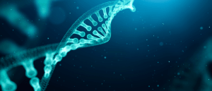 DFNB9 gene therapy
