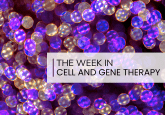 bone regeneration