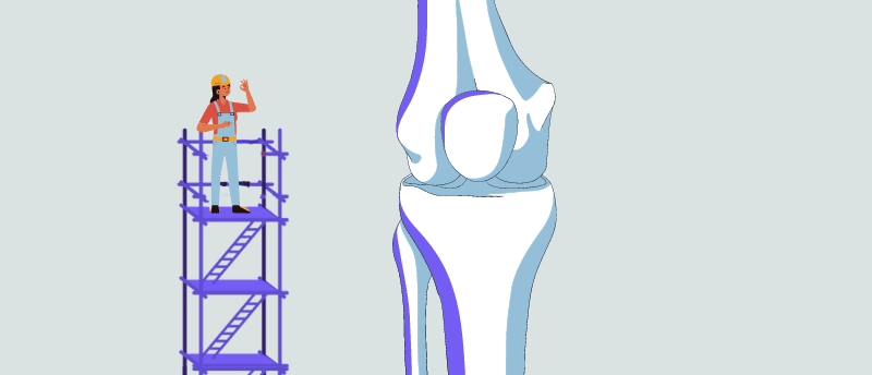 tissue engineering bone constructs
