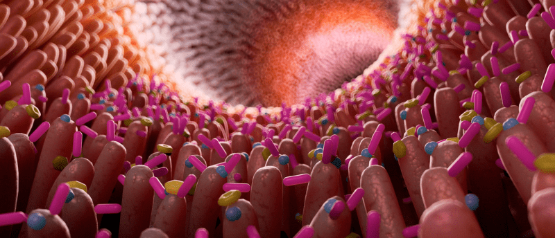 Inflammatory bowel disease