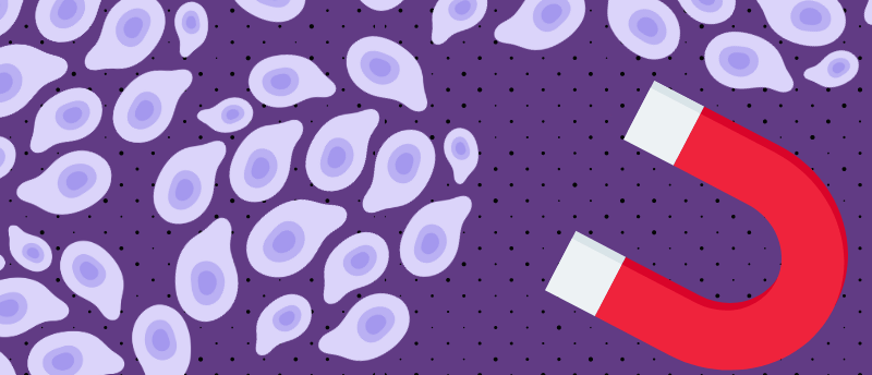 magnetic nanoparticle