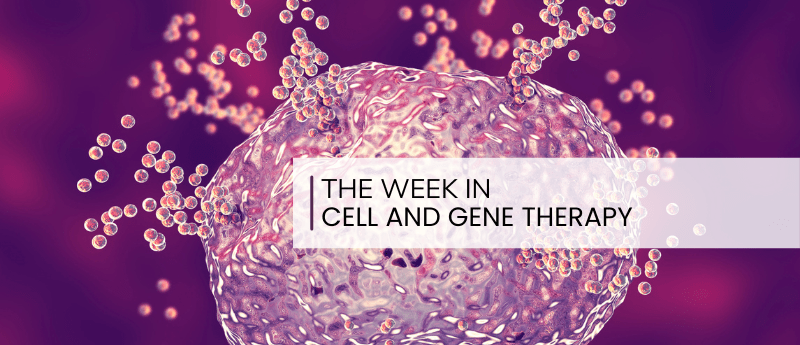 CAR T-cell therapy