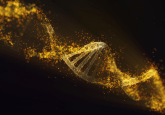 raw material quality for cell and gene therapies Regulatory standards in cell and gene therapies Regulatory compliant raw materials