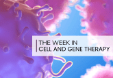 Cell Therapy Weekly: Promising 24-Month Data for Parkinson’s Cell Therapy